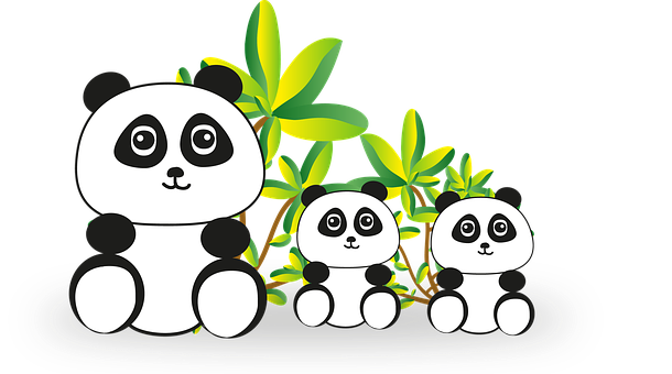 A Group Of Pandas And Plants