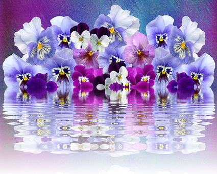 A Group Of Flowers On Water
