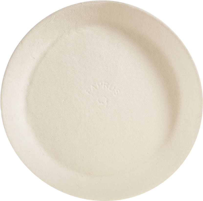 Paper Plate Png 831 X 825
