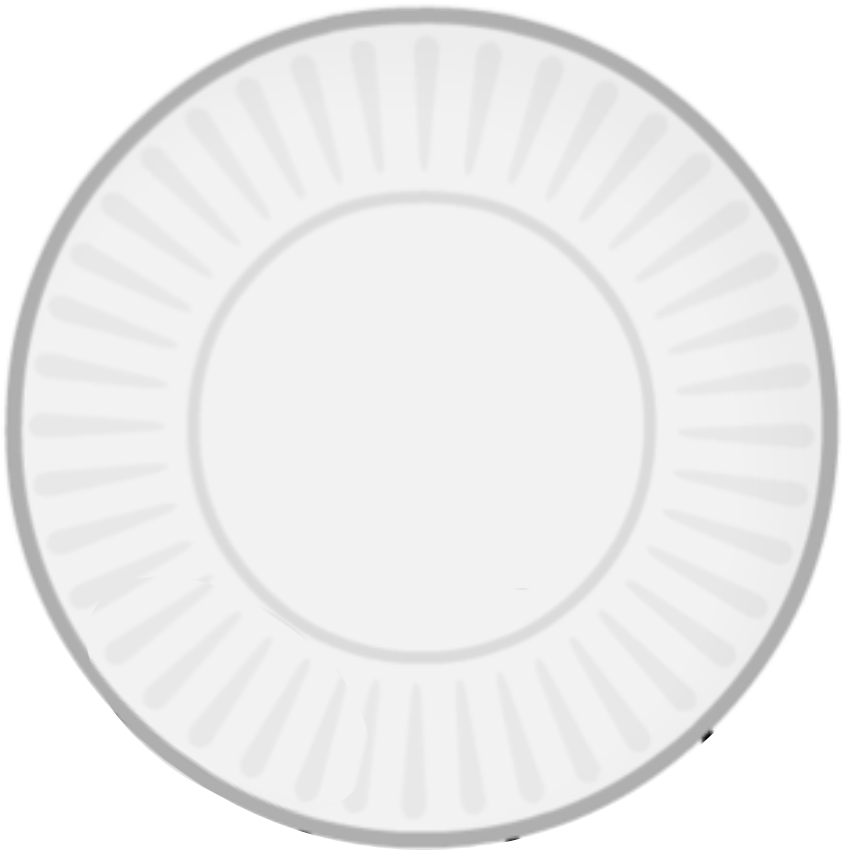 A White Plate With A Black Background