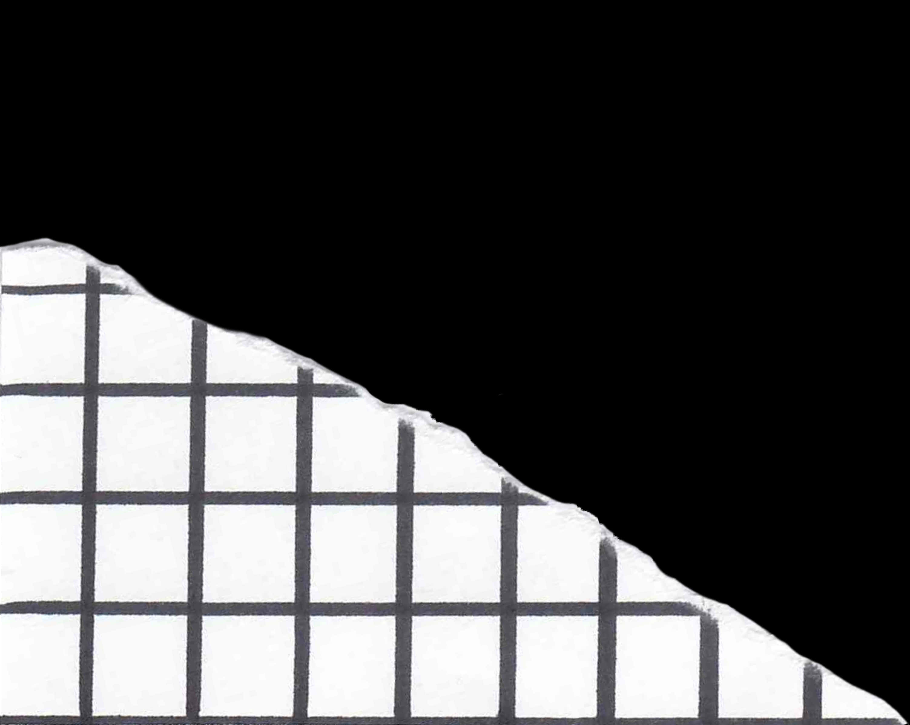 A Black And White Grid Pattern