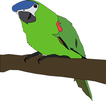 A Green Bird On A Branch
