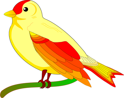 Parrot Png 433 X 340