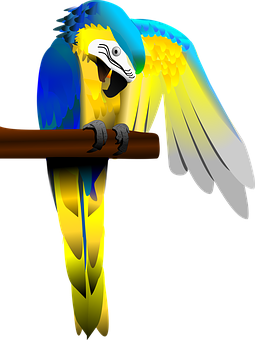 Parrot Png 255 X 340