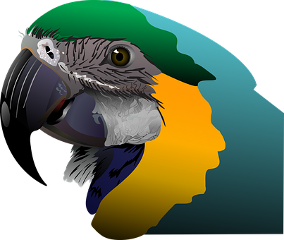 A Colorful Parrot Head With Black Background