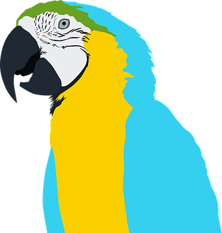 A Blue And Yellow Parrot