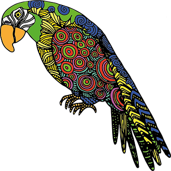 A Colorful Parrot With A Black Background
