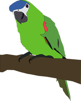 A Green Parrot On A Branch