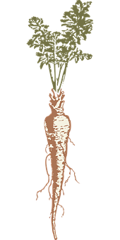 A Carrot With A Palm Tree