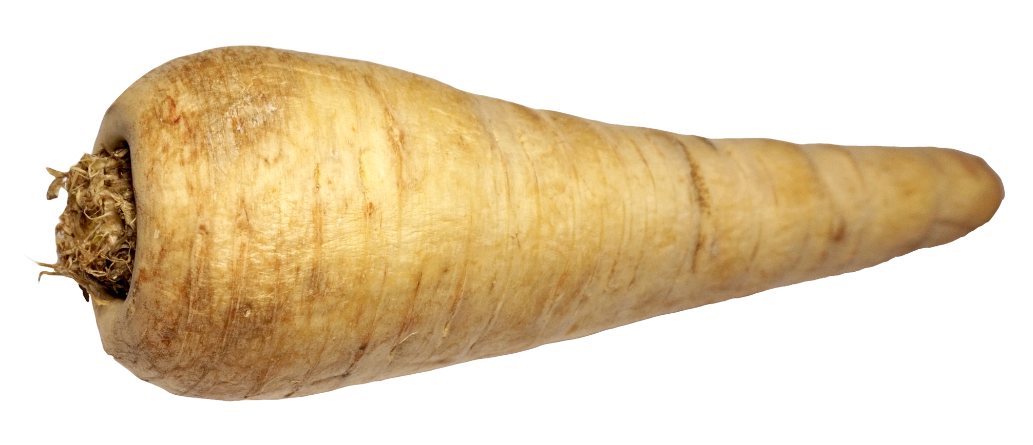 A Close Up Of A Root Vegetable