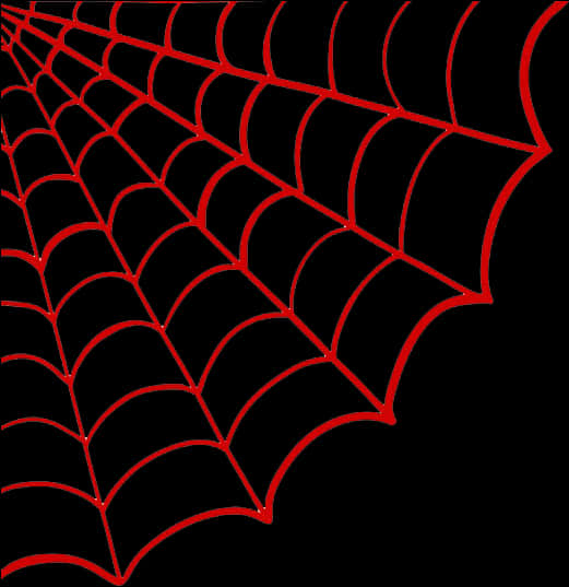 A Red And Black Spider Web
