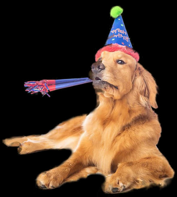 A Dog Wearing A Party Hat