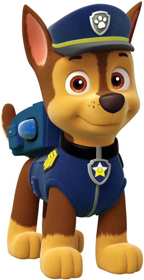 Paw Patrol Characters Png 507 X 981