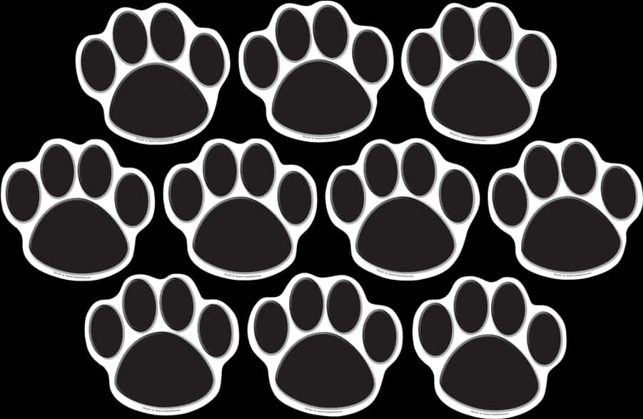 A Group Of Paw Prints