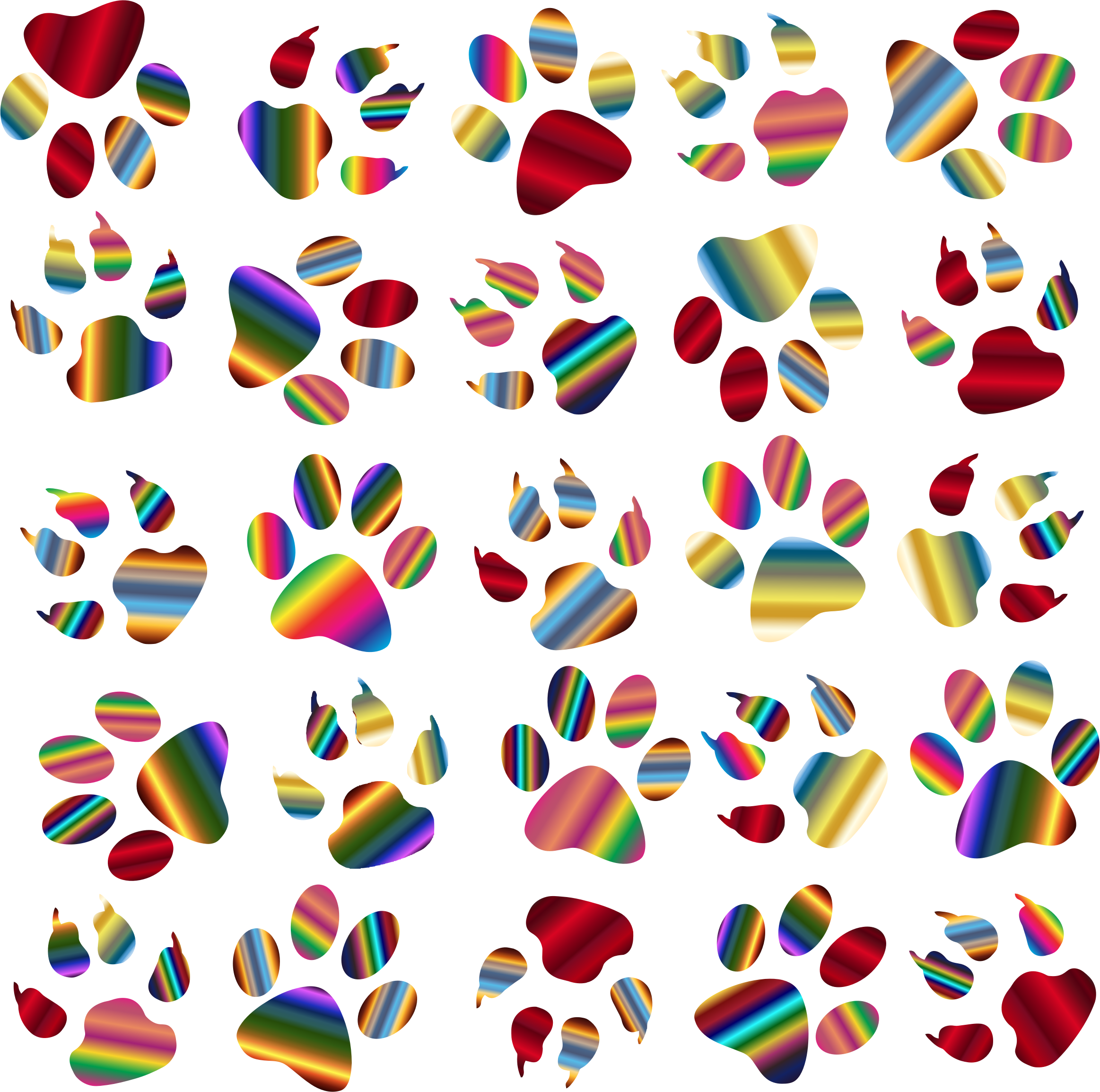 A Group Of Colorful Paw Prints