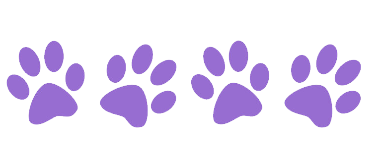 Paws Png 769 X 325