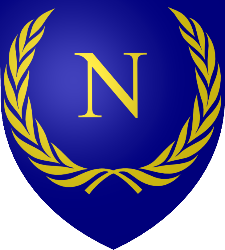 A Blue Shield With A Gold Letter N