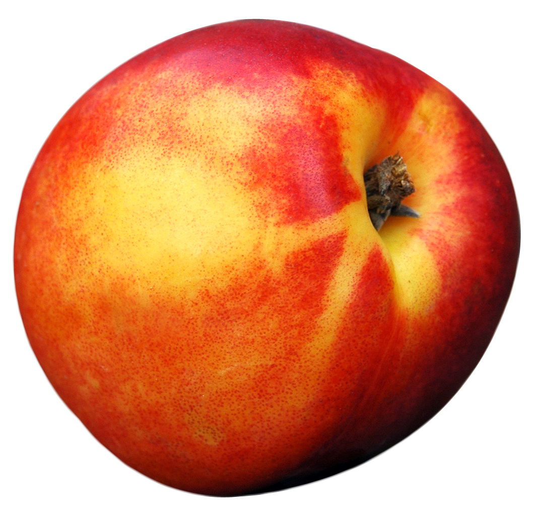 Peach Png 1068 X 1014