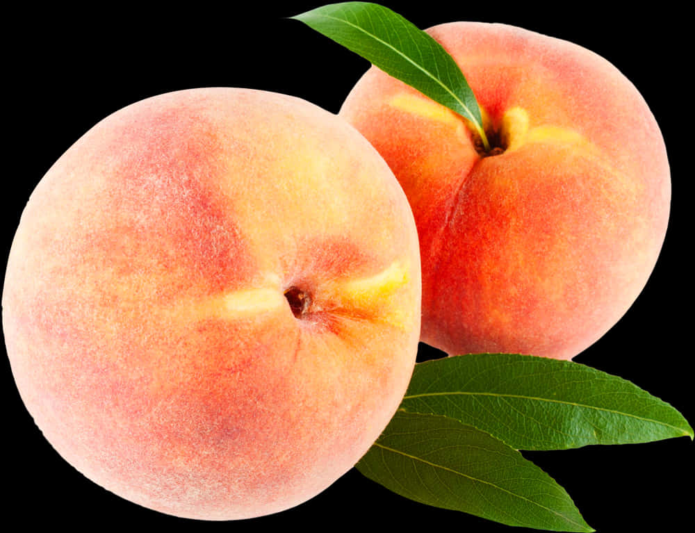 Two Peaches With Leaves On A Black Background