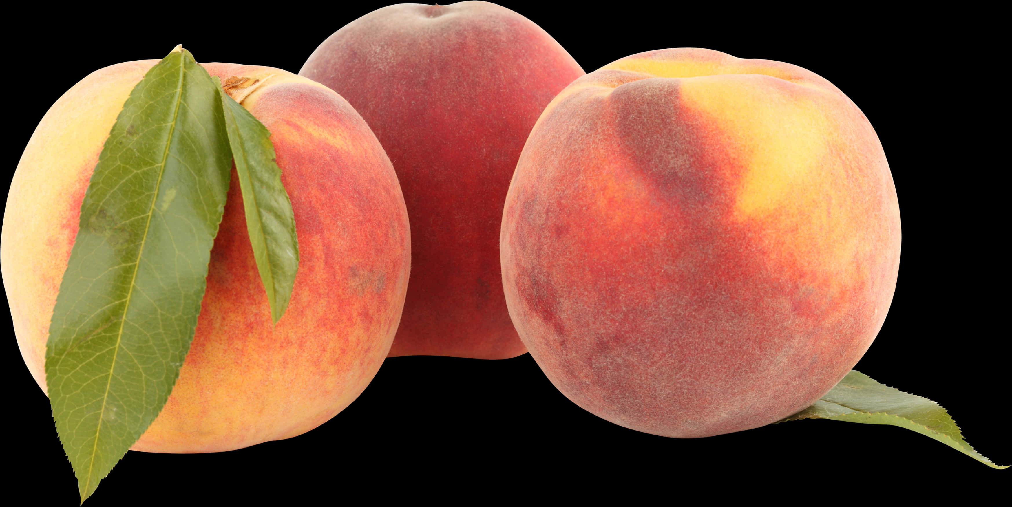 Peach With Different Ripeness