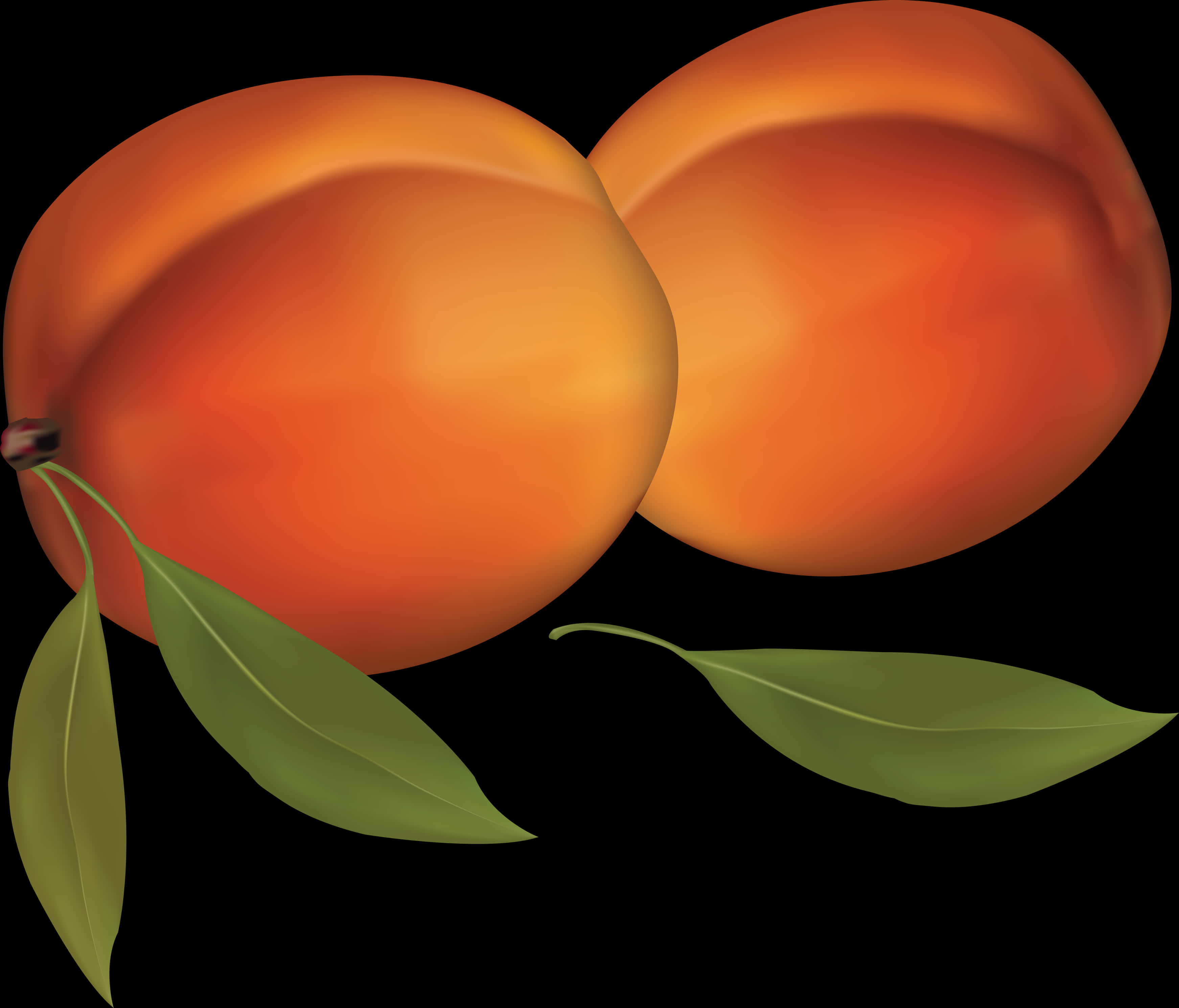 Two Peach Fruits