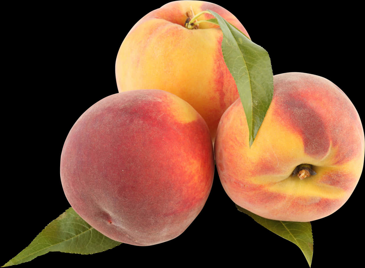 A Group Of Peaches With Leaves