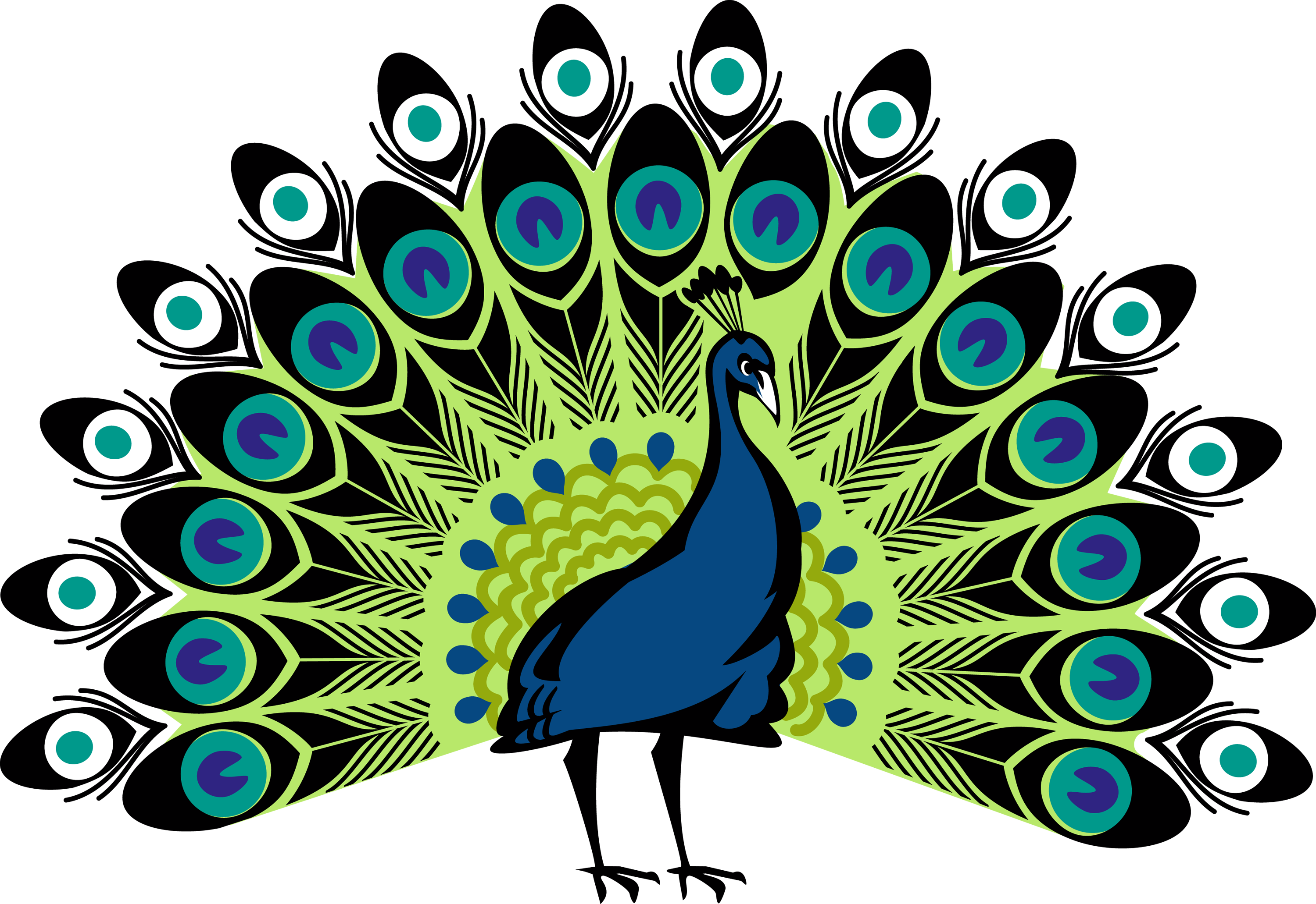 A Peacock With A Fan
