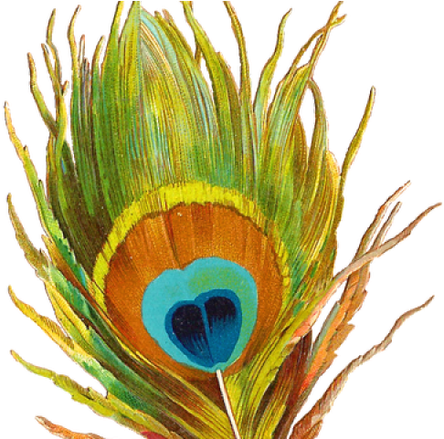 Peacock Feather Clipart Png, Transparent Png