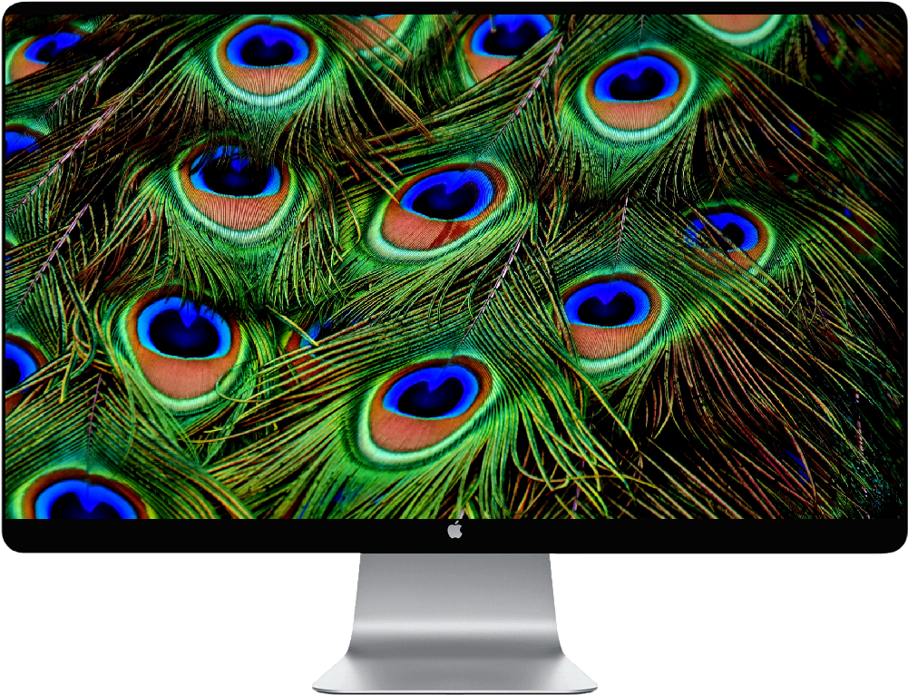 A Computer Monitor With Peacock Feathers