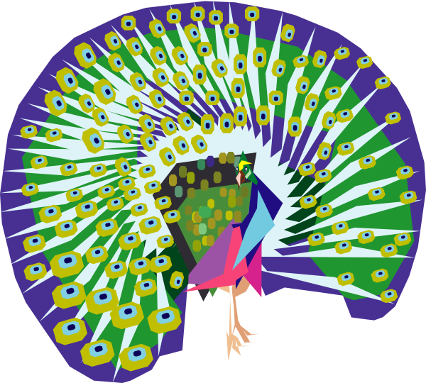 A Colorful Peacock With Its Tail Open