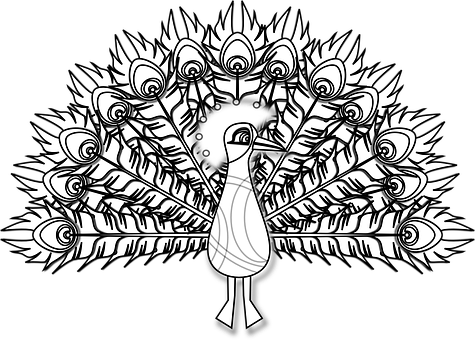 A Black And White Drawing Of A Peacock