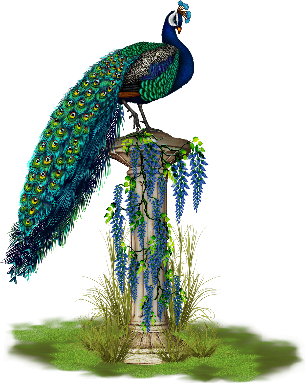 A Peacock Standing On A Pillar