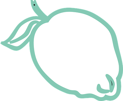 A White Fruit With A Green Outline