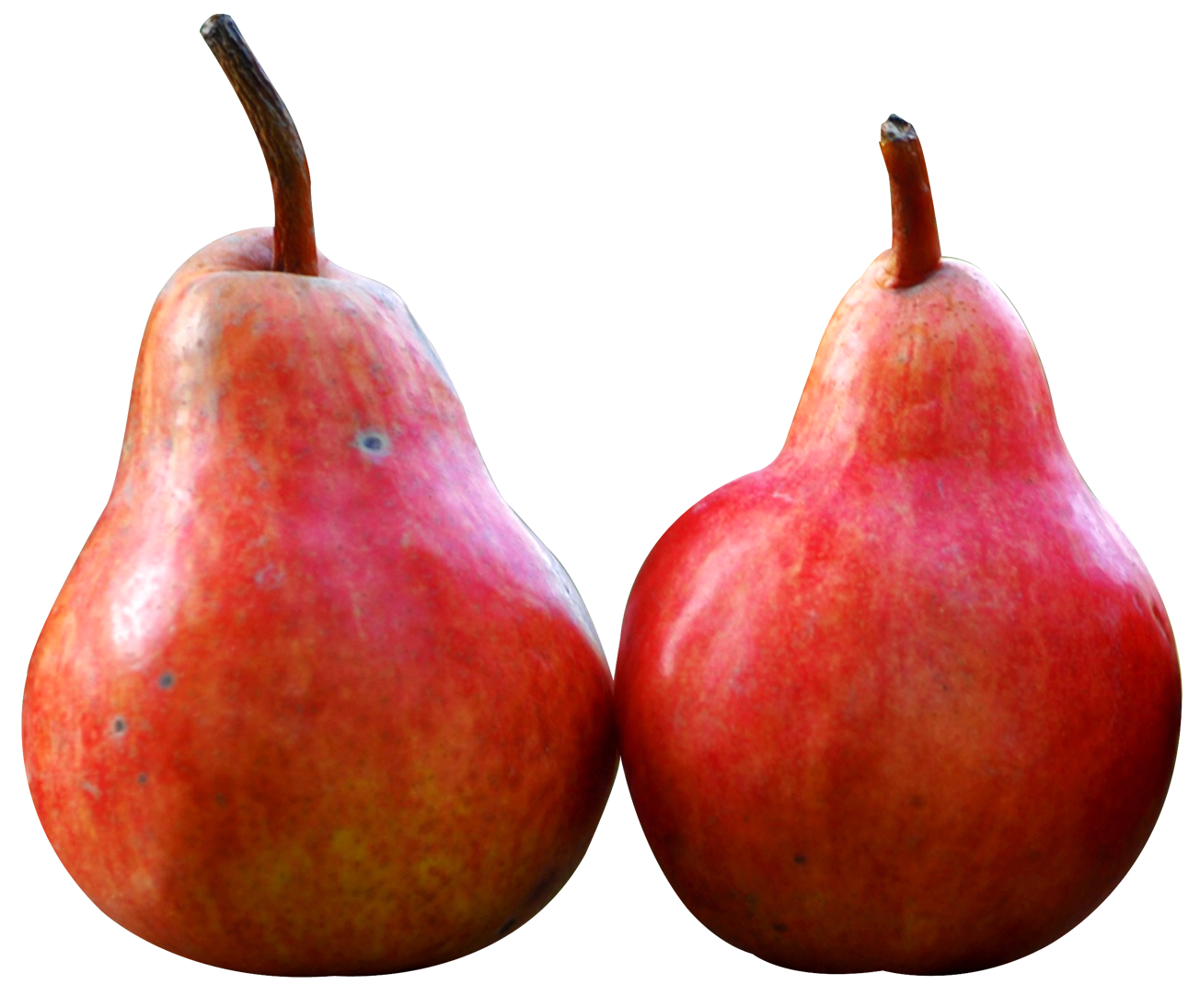 Pear Png 1304 X 1095