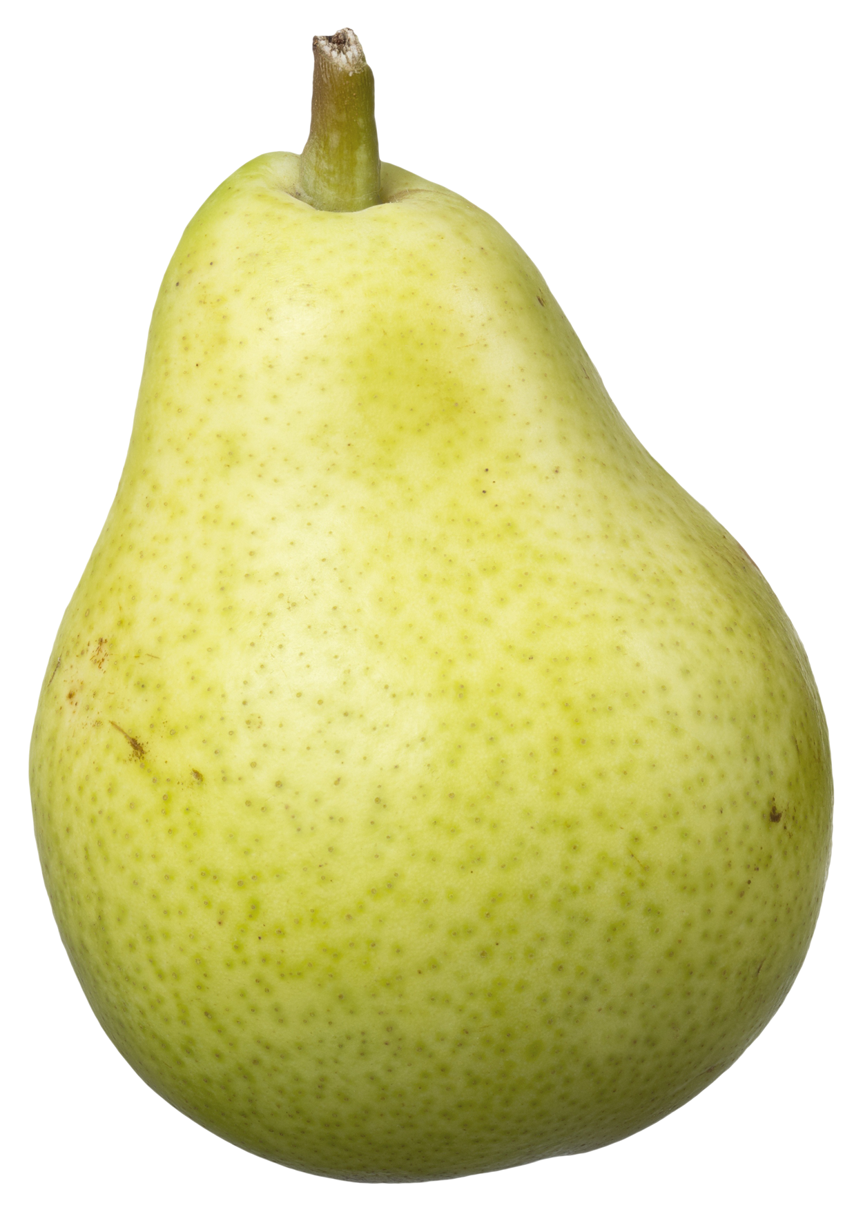 Pear Png 1250 X 1756