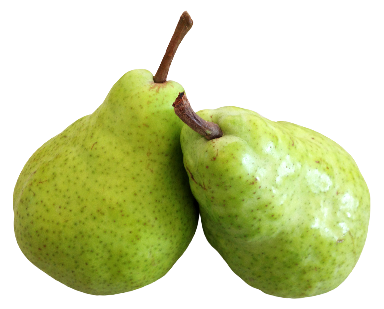 Pear Png 1248 X 1005