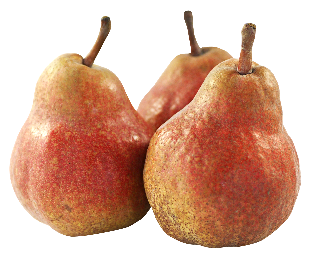Pear Png 1248 X 1035