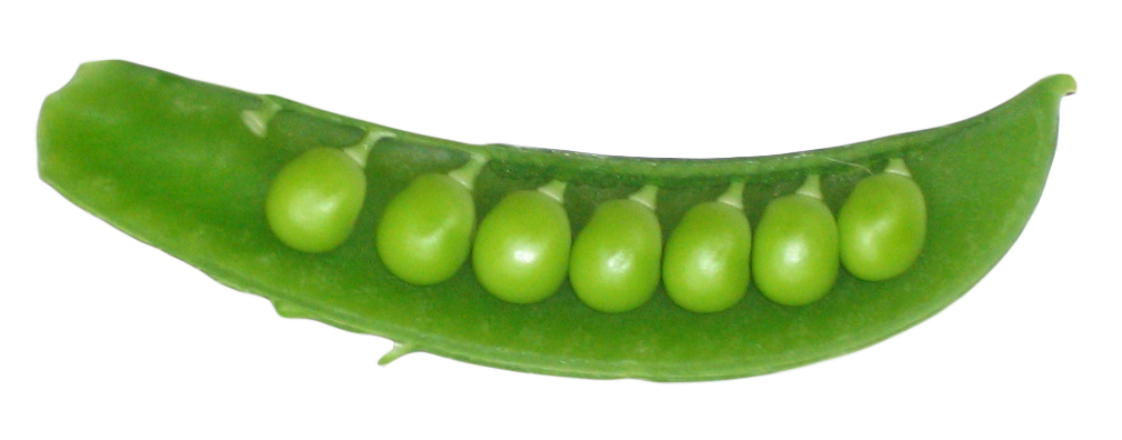 Peas Png 1010 X 396