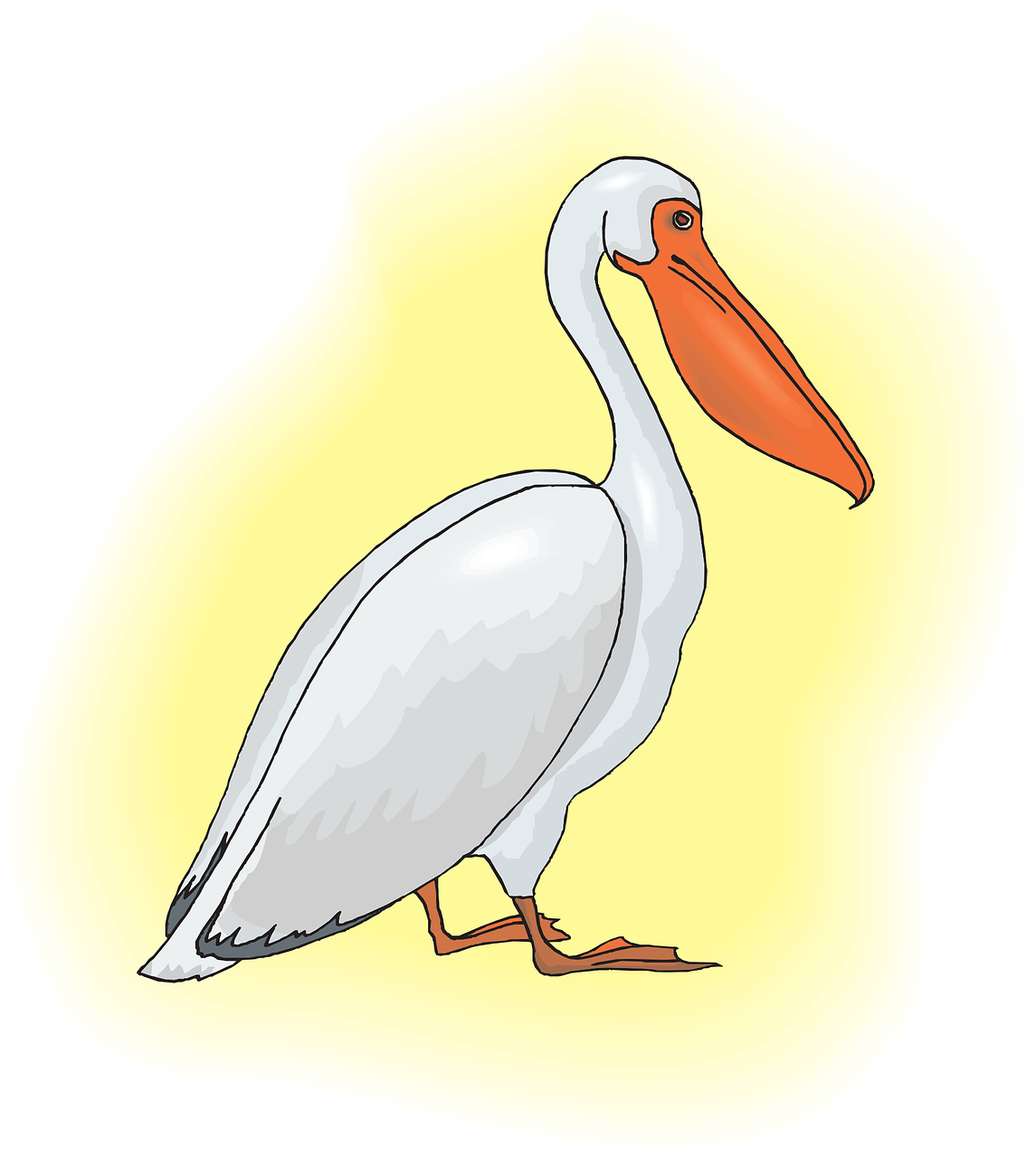 A White Bird With A Long Beak