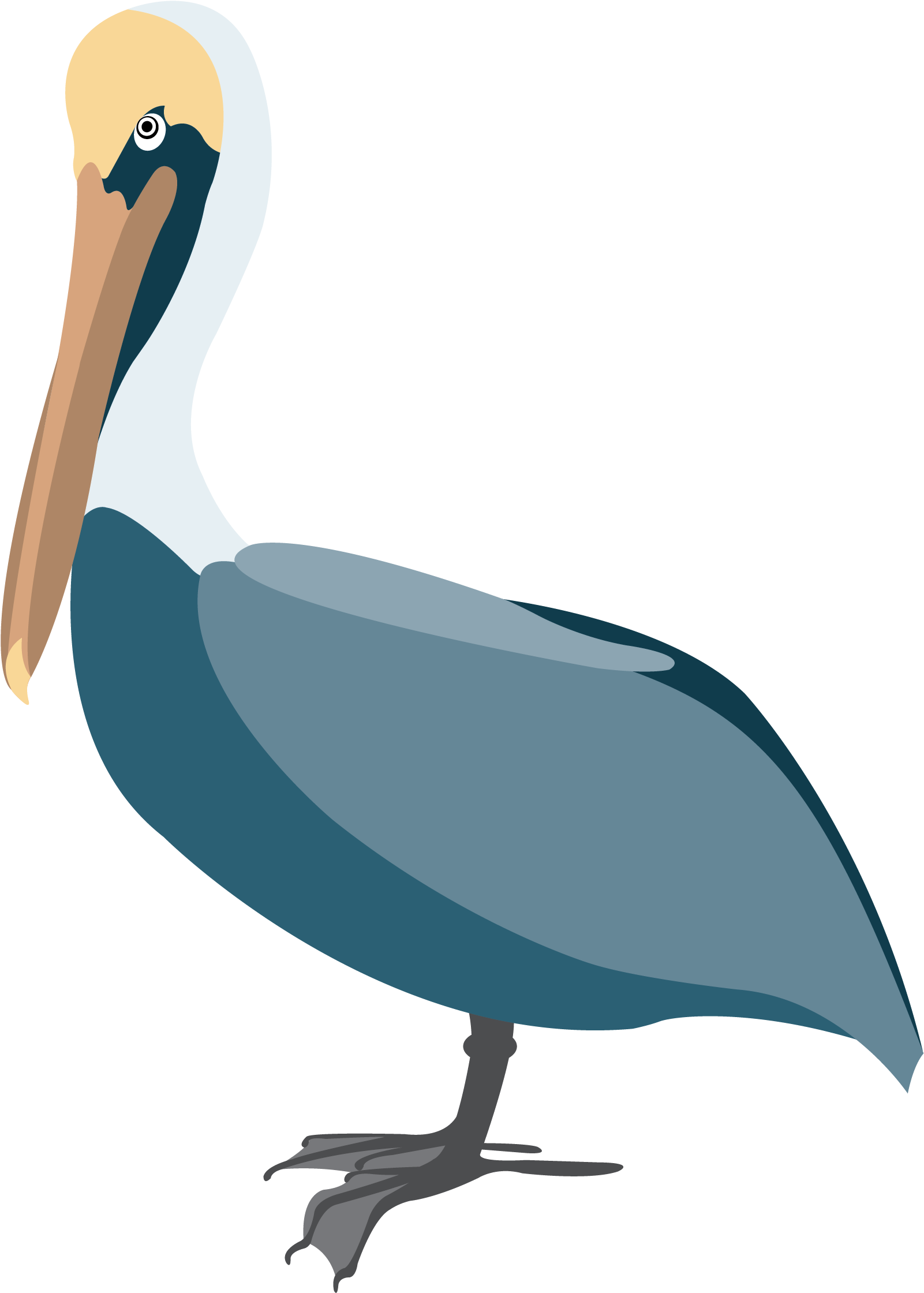 A Bird With A Long Beak