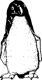A Black And White Image Of A Person