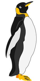 A Penguin With Black Background
