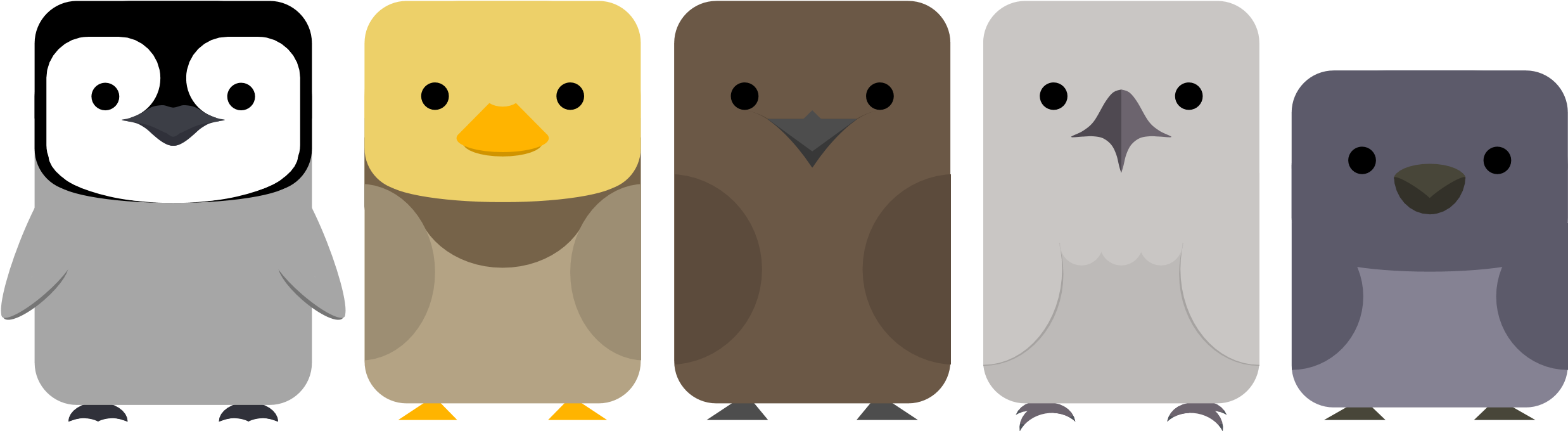 A Group Of Birds With Different Colors