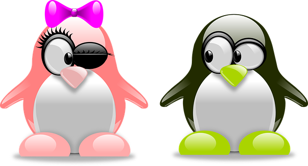 A Couple Of Penguins With Sunglasses