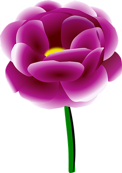 A Purple Flower With Yellow Center