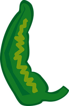 A Green Vegetable With A Black Background