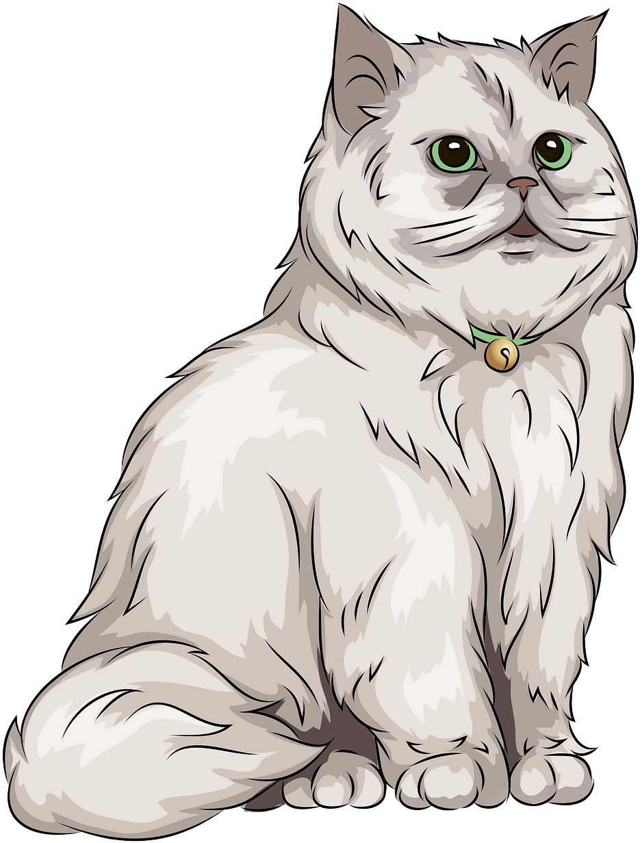 A White Cat With Green Eyes
