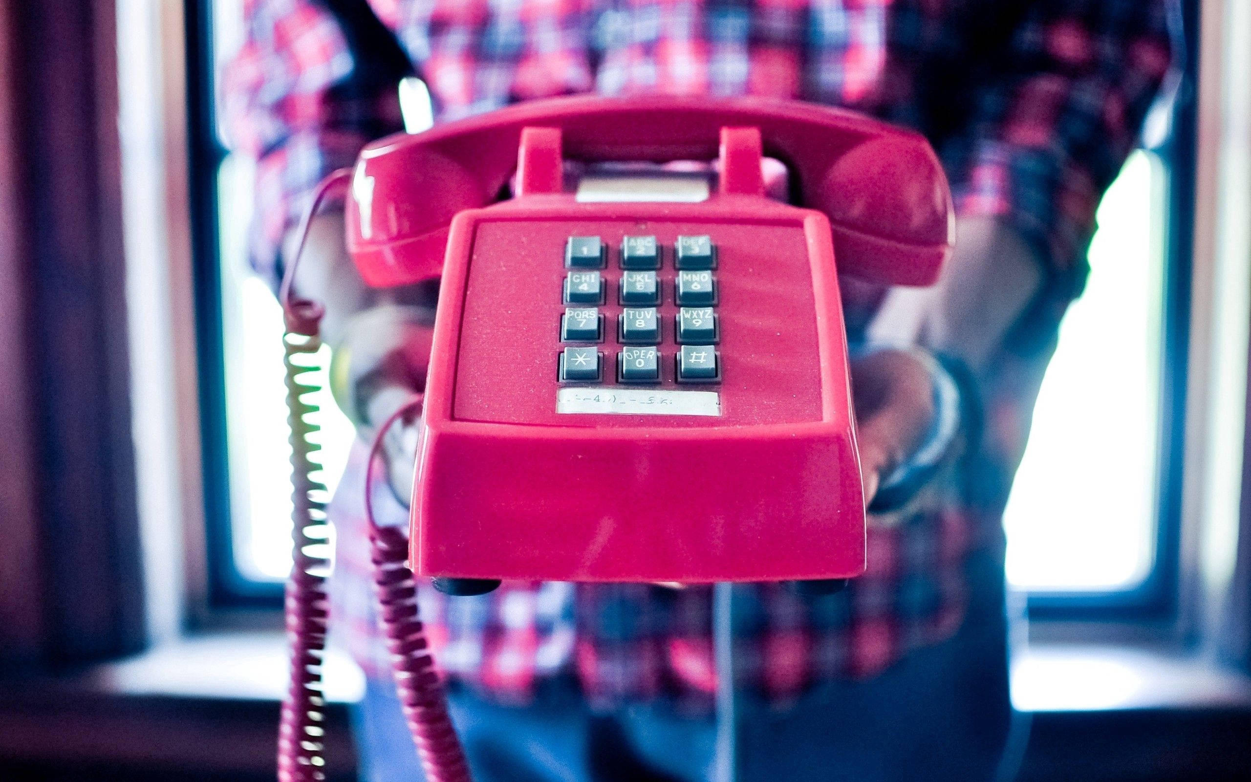 Person Holding Red Phone