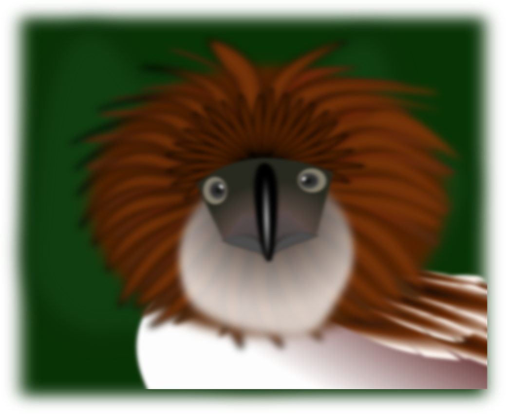 A Bird With A Brown And White Feathered Head