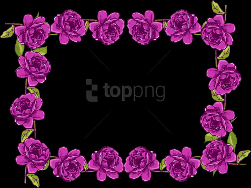 A Purple Flowers In A Black Background